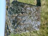 image of grave number 762861